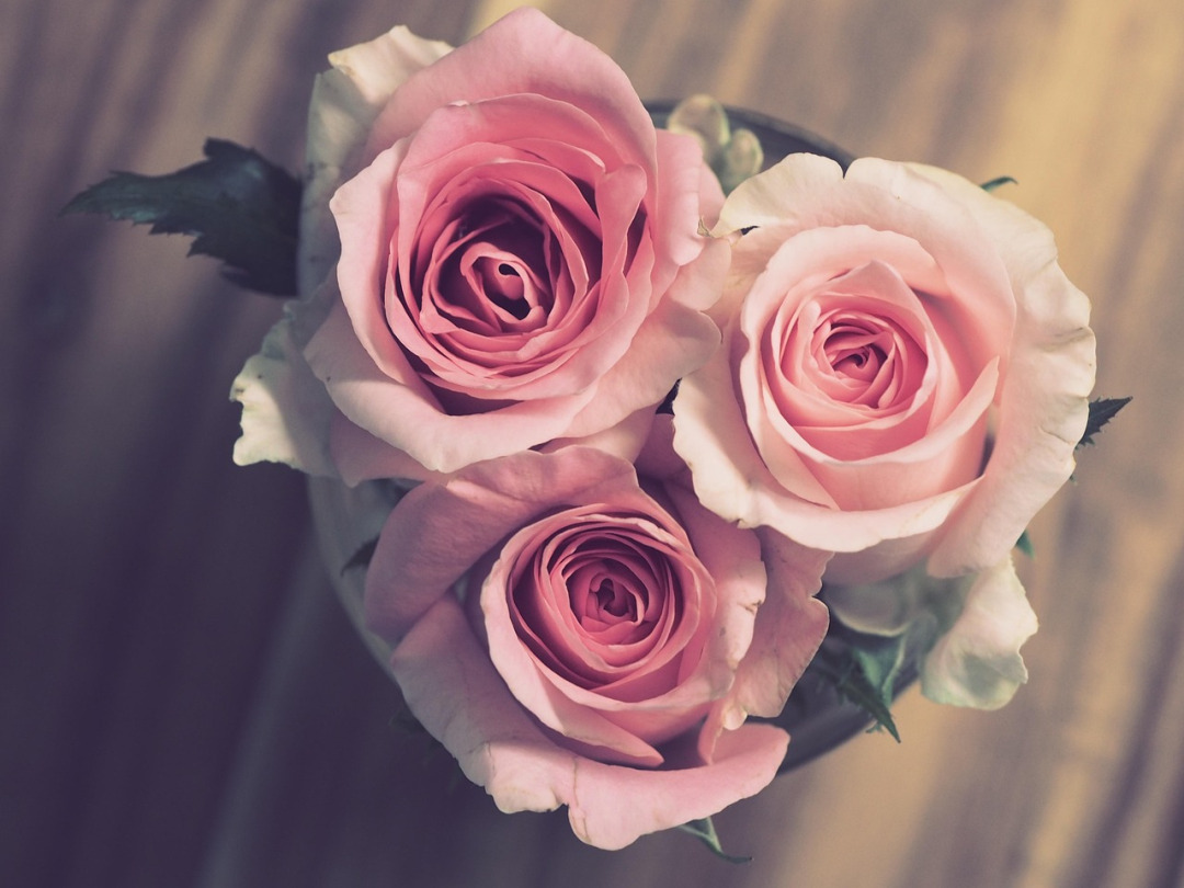 peony bouquet pastel